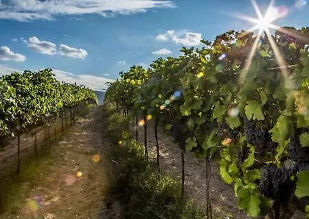 Dobra Lipa ブラチスラヴァ