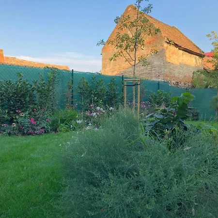 Dobra Lipa アパート *