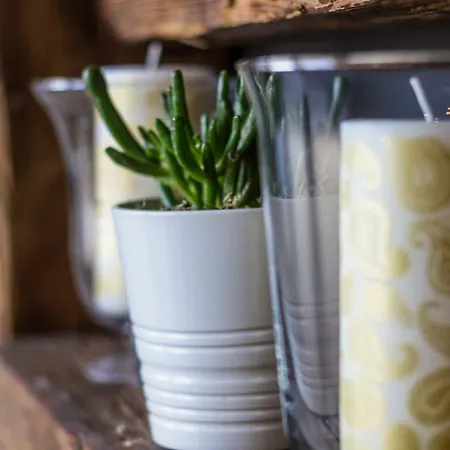 Dobra Lipa Apartment